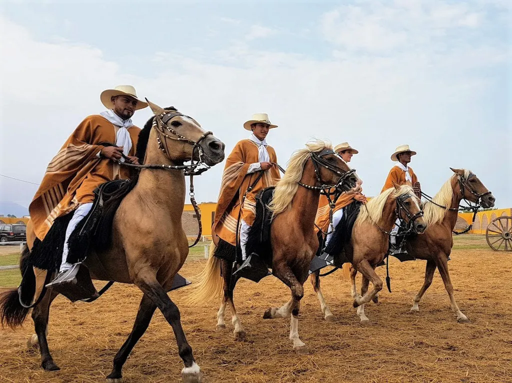 Motorradreise Peru: Anden & Amazonas – Bild 3