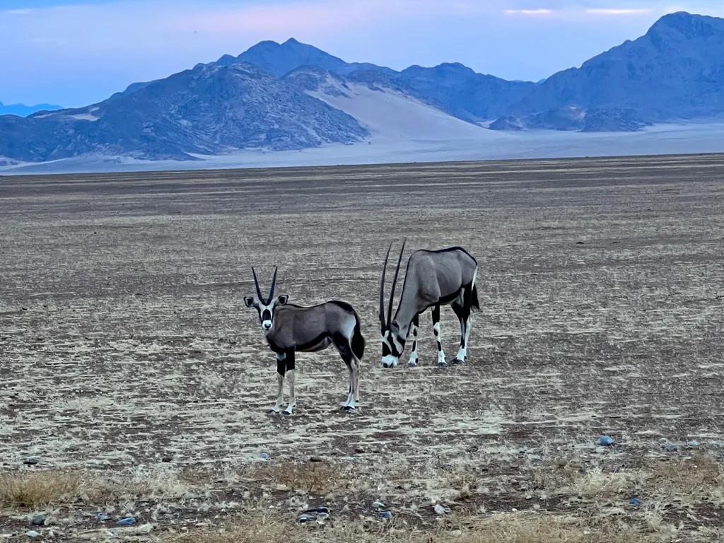 Motorradreise Namibia: Schotterpistentour mit Enduro – Bild 2