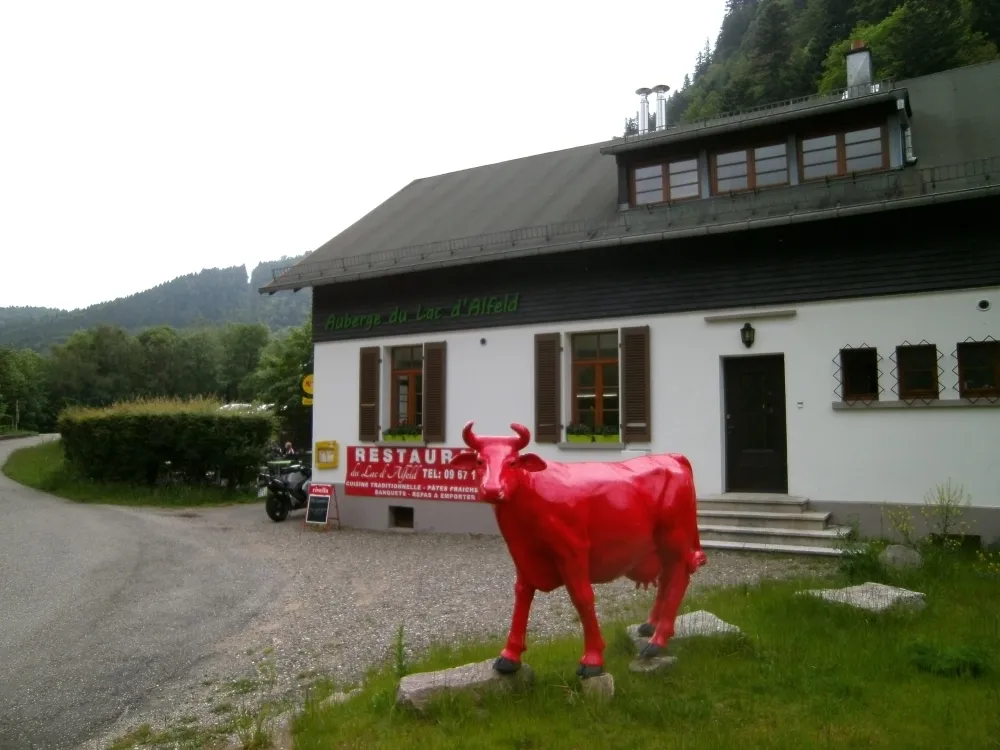 Tag 2: Route des Crêtes zum Grand Ballon