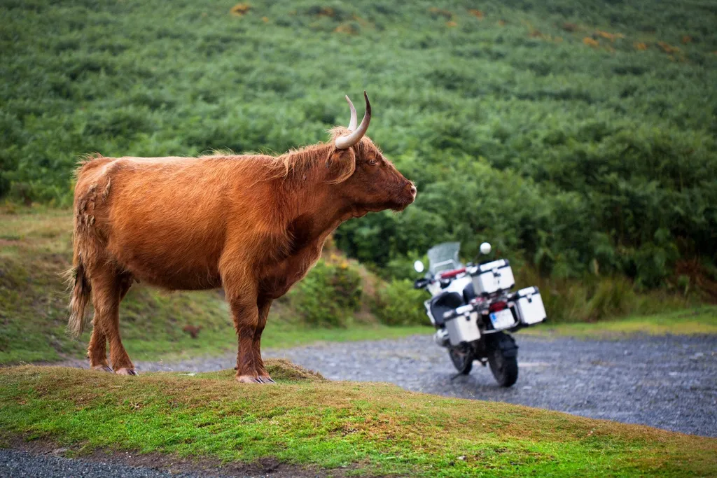 Isle of Arran, North Coast 500 & Orkney, 13 Tage