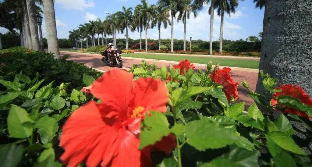 Tag 10: Daytona Bike Week – freier Tag