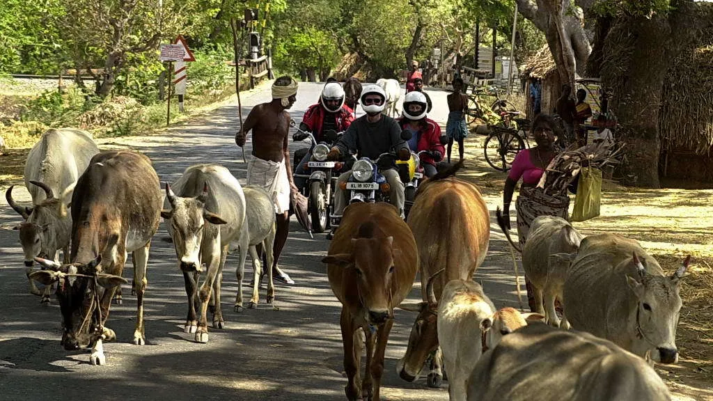 Tag 6: Madurai - Thanjavur (ca. 160 km)