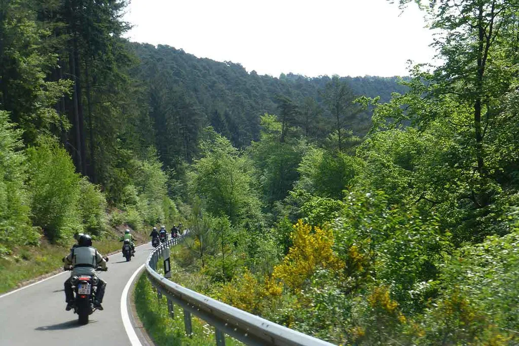 Edenkoben, Weinstraße & Trifels, 4 Tage – Bild 1
