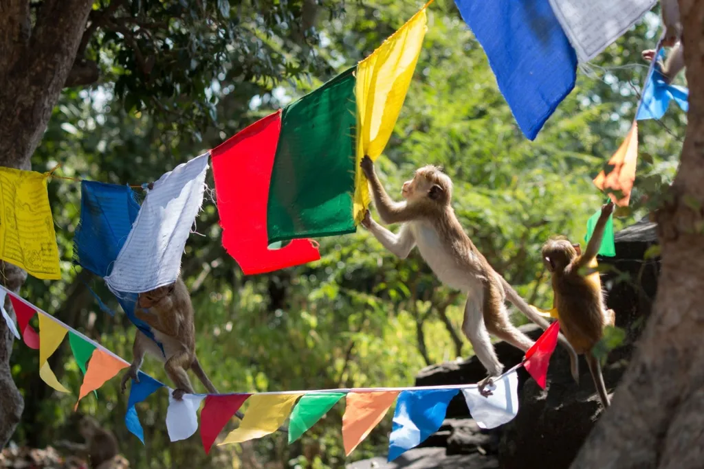 Tag 4: Anuradhapura – Trincomalee (120 km)