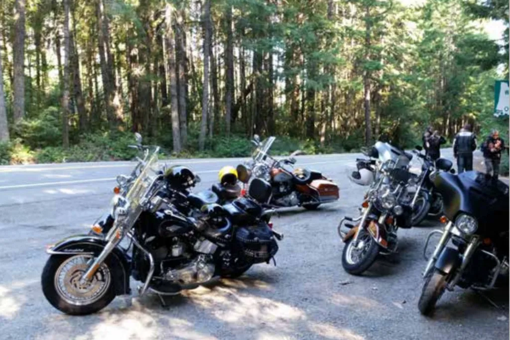 Tag 6: Pacific Coast Highway – 2500 Kurven