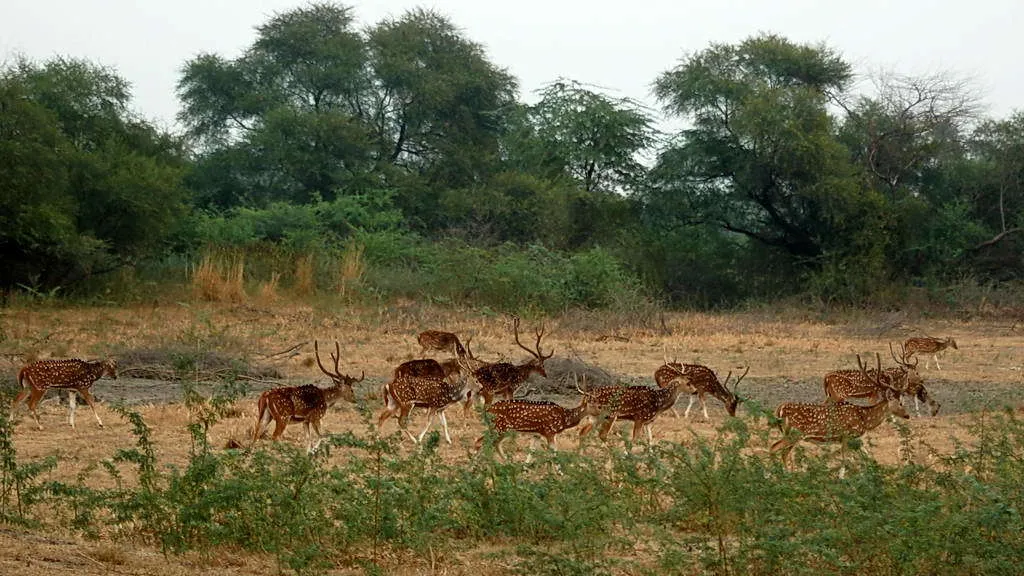 Tag 12: Khajuraho – Chitrakoot (ca. 180 km)