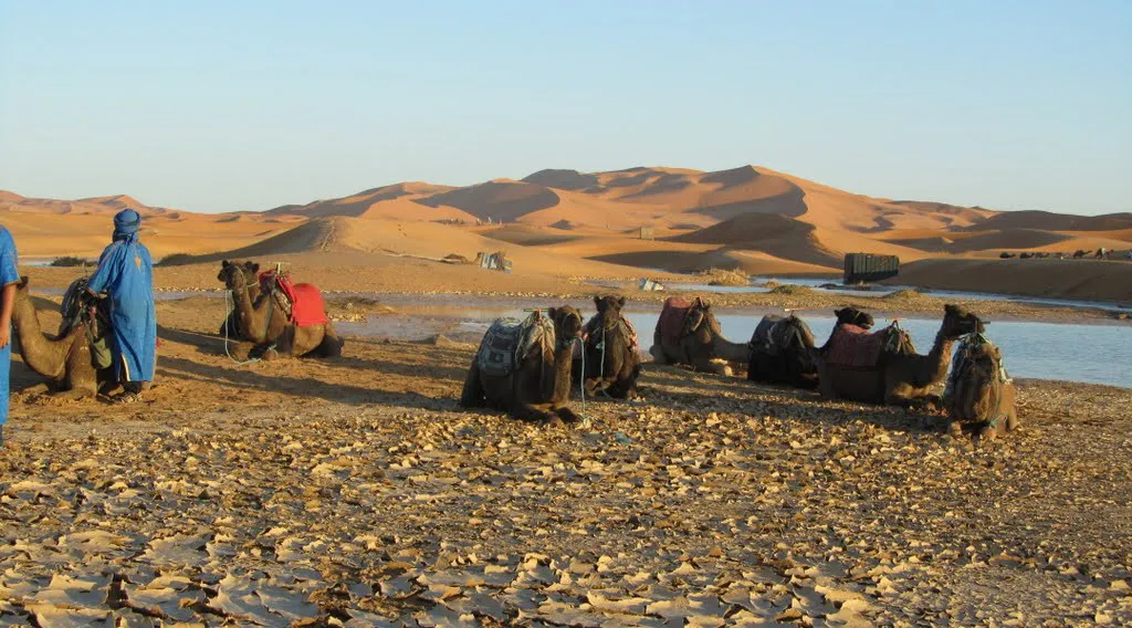 Tag 3: Erholsamer Tag auf See Richtung Nador