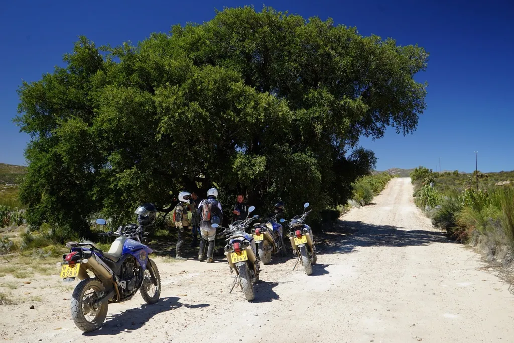 Motorradreise Südafrika – Good Hope Kapregion Tour – Bild 5