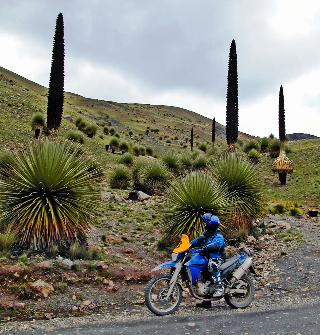 Tag 9: Cajamarca – Leymebamba