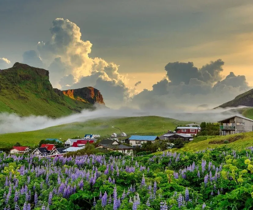 Island