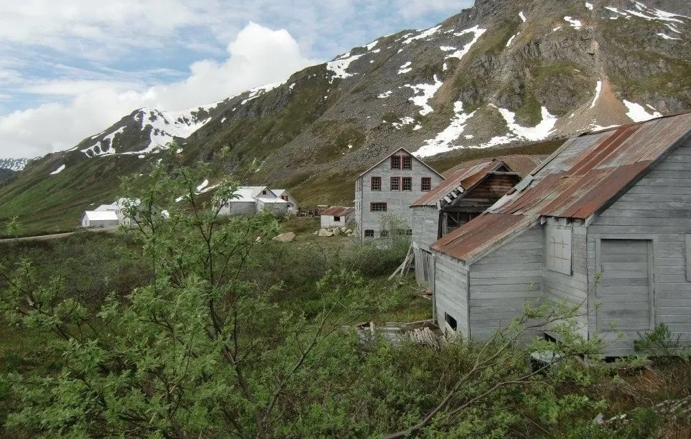 Kenai-Halbinsel – Seward – Walbeobachtung