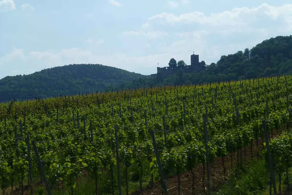 Tag 5: Rückweg durchs Nahetal