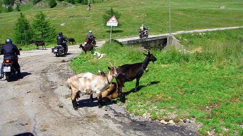 Switzerland