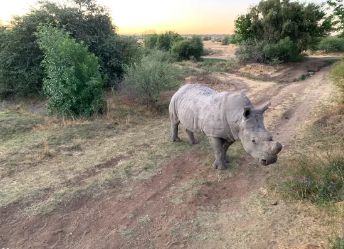 Südafrika