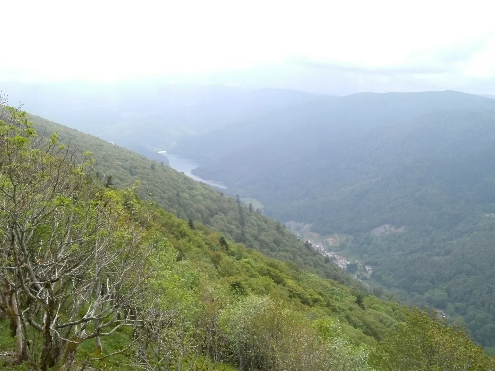 Tag 3: Weinstraße bis La Bresse