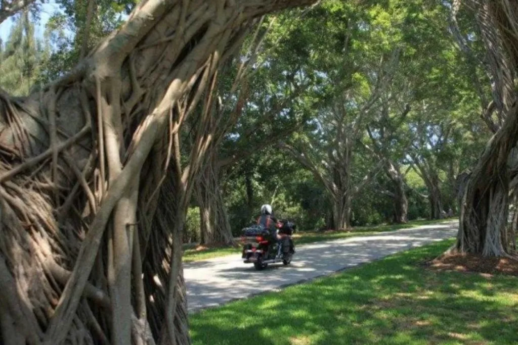 Tag 10: Fort Lauderdale – Freizeit