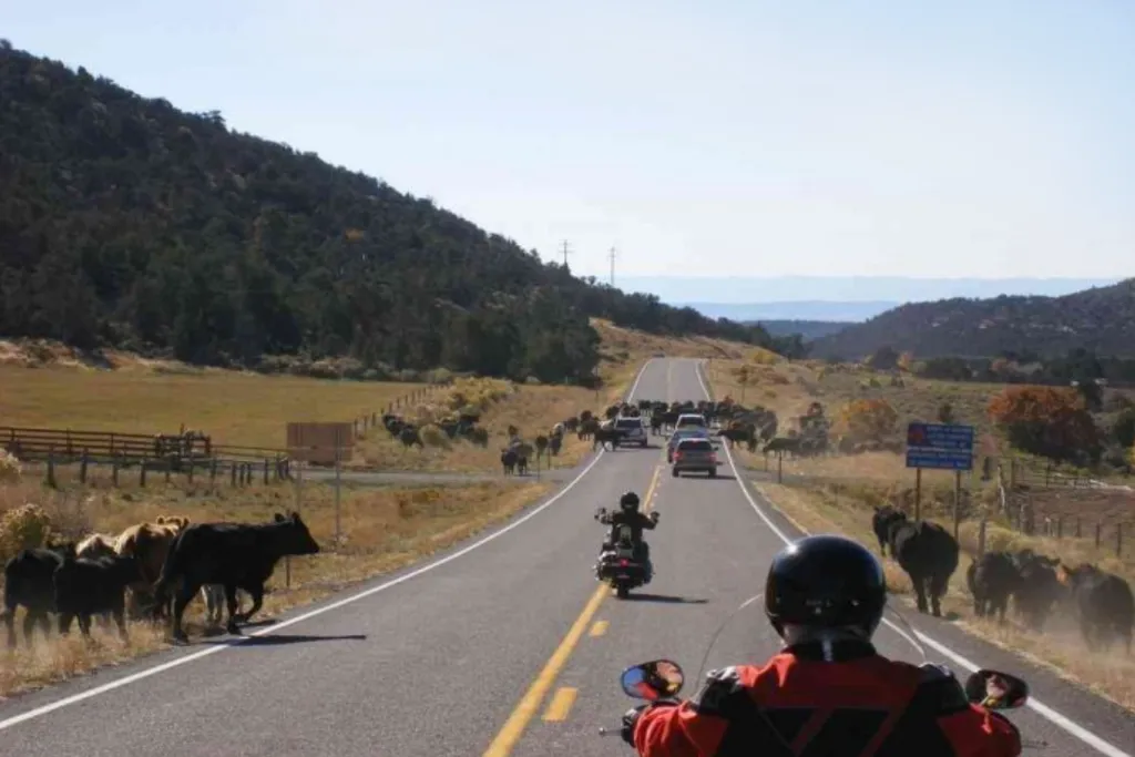 Tag 11: Devils Tower – Sturgis – Black Hills