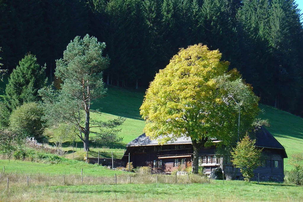 Appenweier, Feldberg, Bodensee, 10 Tage – Bild 5