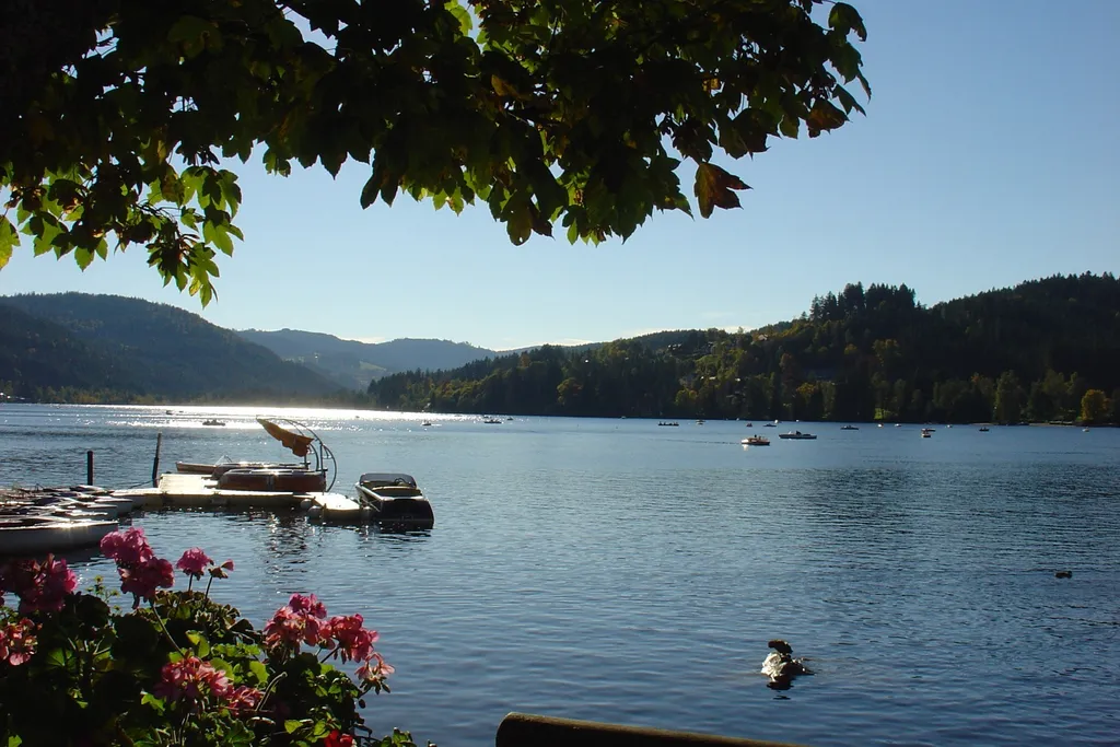 Tag 7: Hotzenwald und Hochrhein