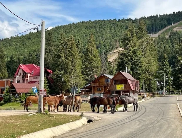 Tag 6: Die Transfăgărășan