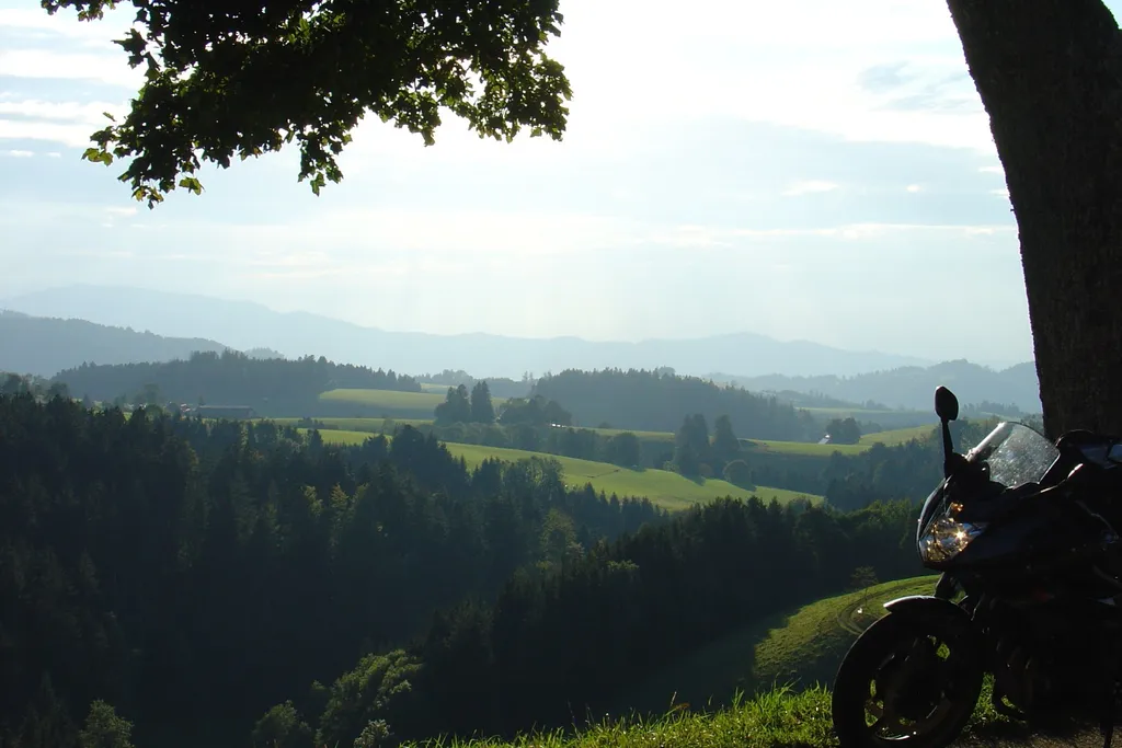 Schwarzwald & Vogesen