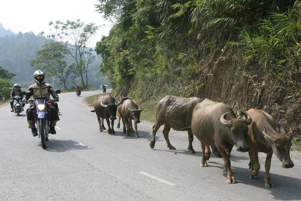 Tag 5: Dong Hoi – Phong Nha