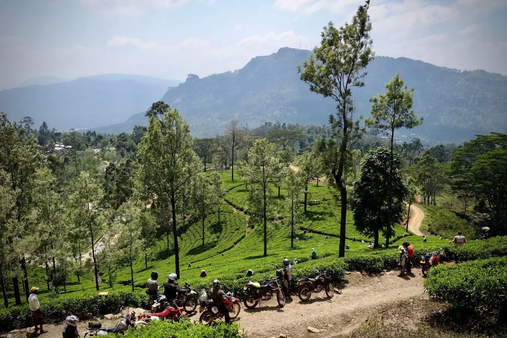 Tag 2: Negombo – Maho (130 km)