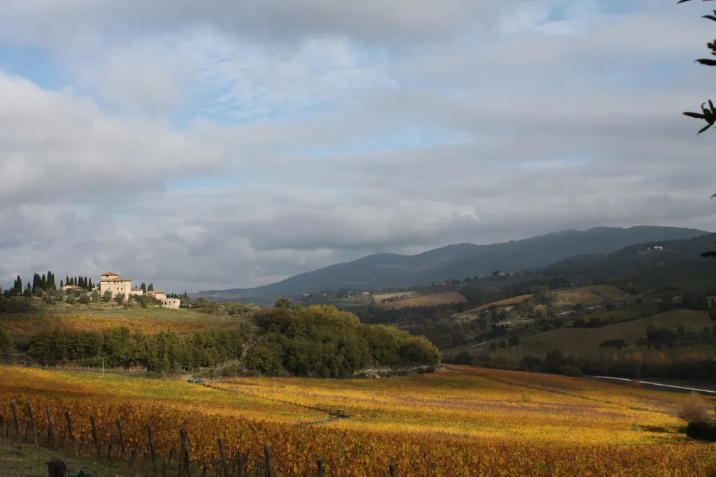 Tag 5: Florenz – Chianti-Gebiet
