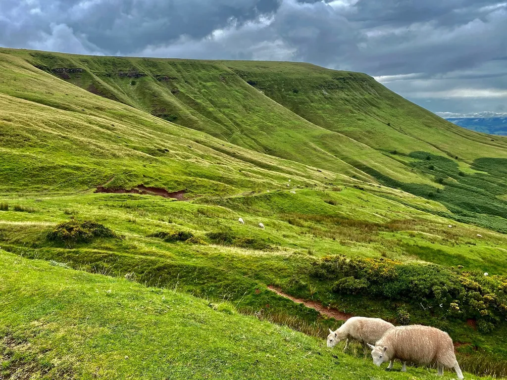 Cotswolds, Brecon Beacons & Snowdonia, 10 Tage – Bild 5