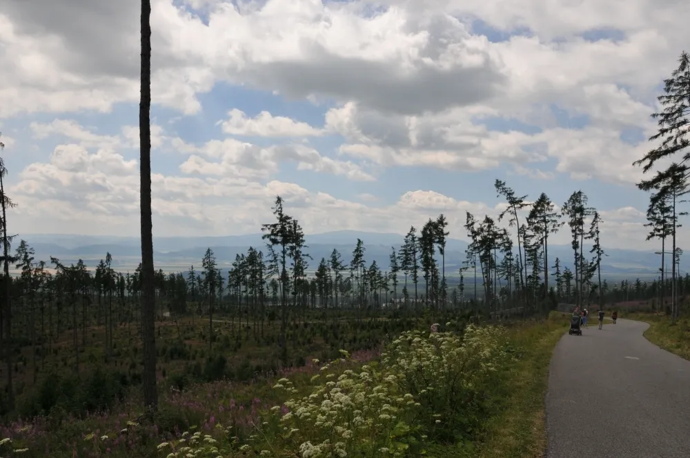 Fernpass, Hohe Tatra & Bratislava, 9 Tage – Bild 1