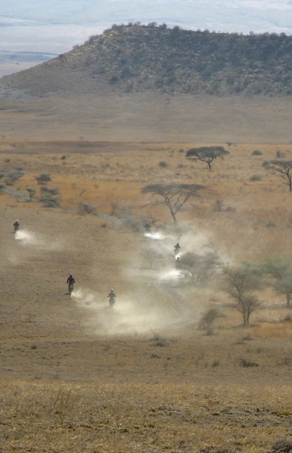 Tag 7: Simanjiro – Tarangire