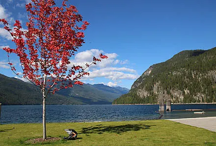 Day 7: Lake Louise – Jasper, 400 km