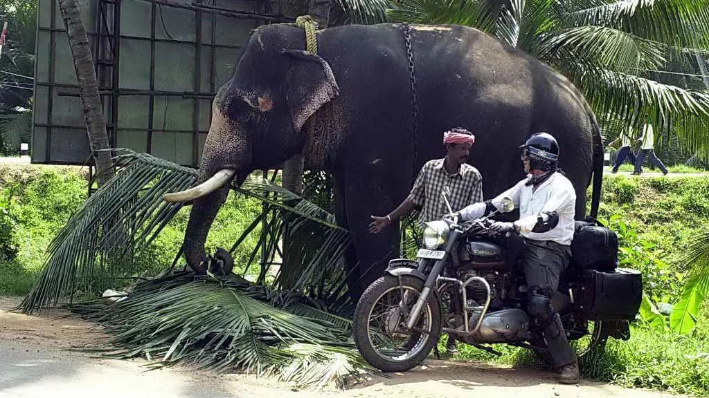 Motorradreise Südindien: Motorradtour Kerala & Tamil Nadu – Bild 1