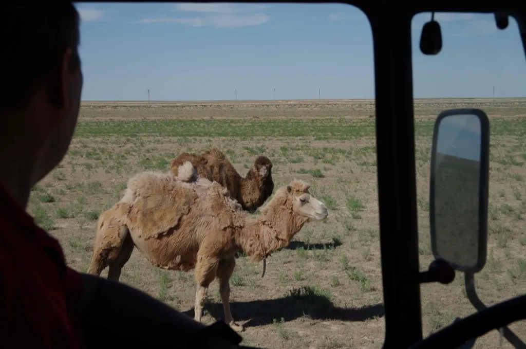 Tag 16: Yazd – Oasenstadt der Wüste