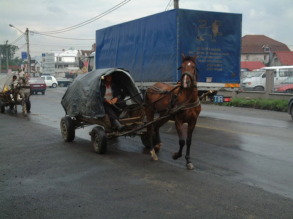 Timisoara, Urdele & Tismana, 8 Tage – Bild 4